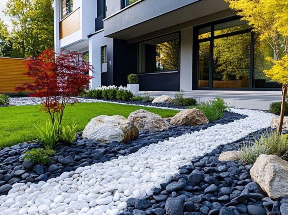 Black and white pebble landscaping with maple tree