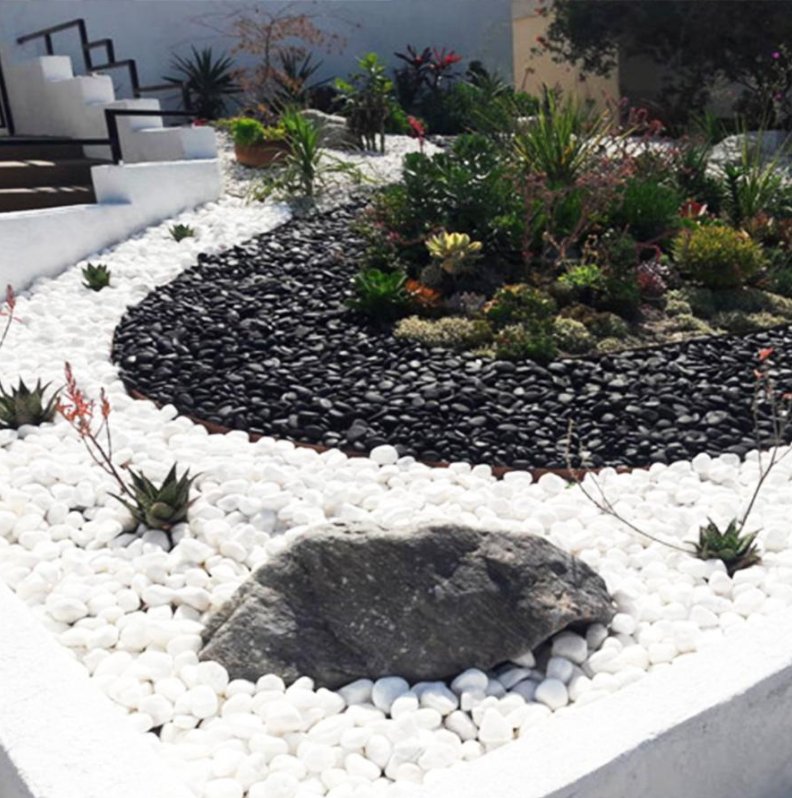 Black and white pebble courtyard with succulents